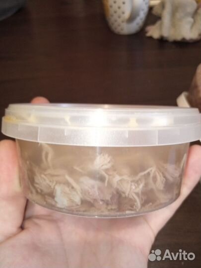 Холодец (студень) говяжий