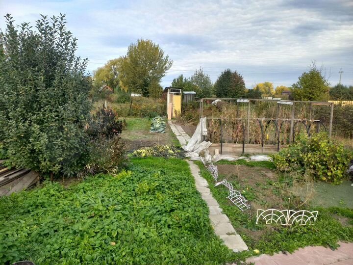 Участок 10 сот. (СНТ, ДНП)