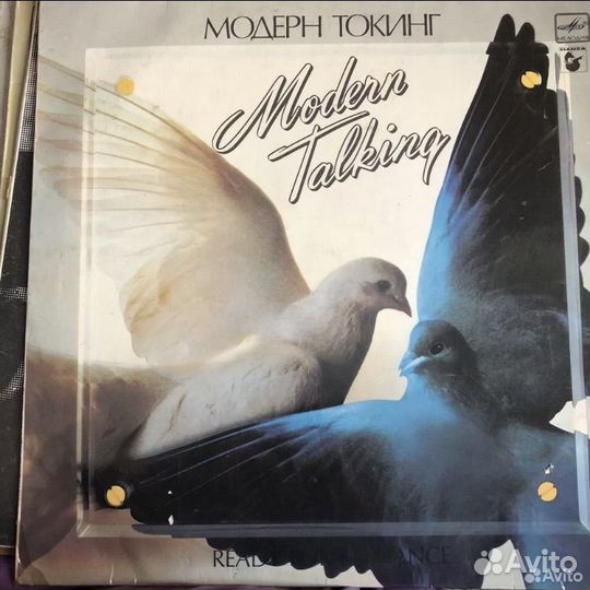 Виниловые пластинки modern talking