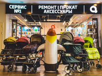 Прокат детского оборудования в Красной Поляне