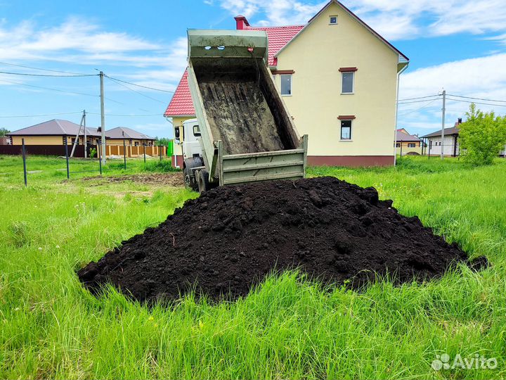 Чернозем луговой