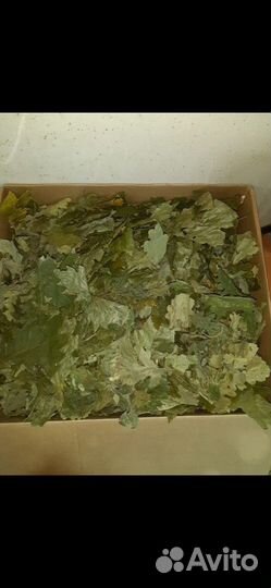 Корм для животных