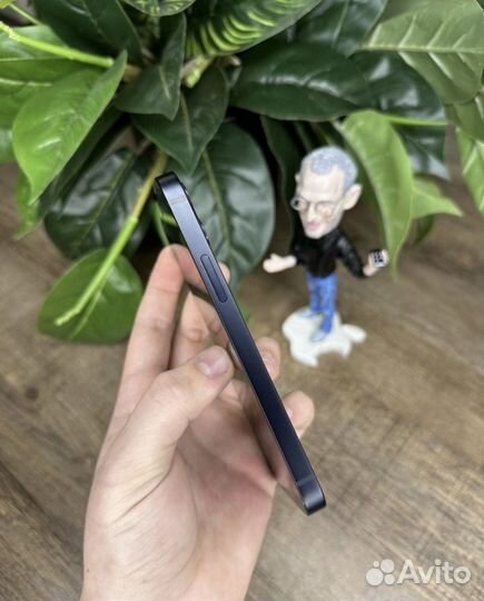 iPhone 12 mini, 256 ГБ