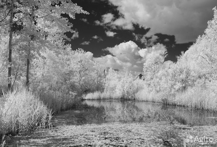 Инфракрасный фотоаппарат Nikon