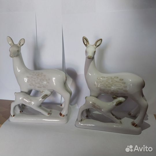 Олениха с олененком