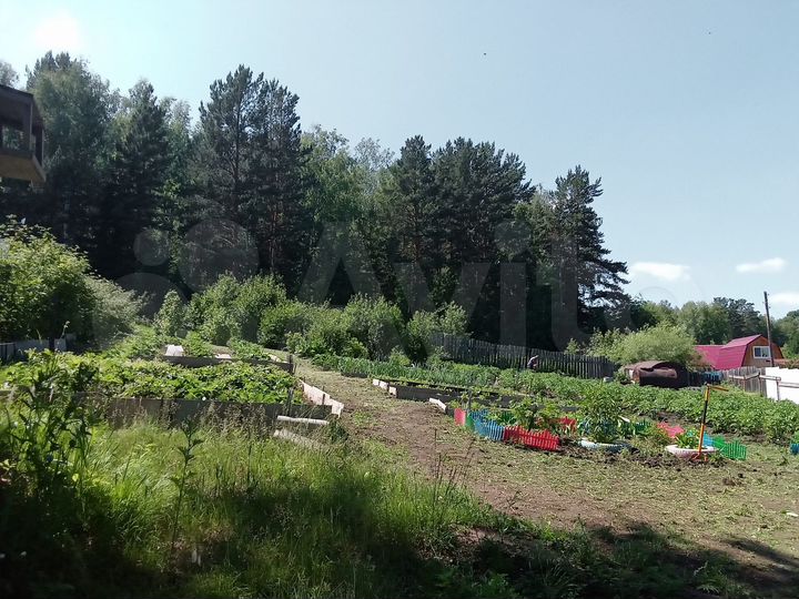 Участок 12 сот. (СНТ, ДНП)