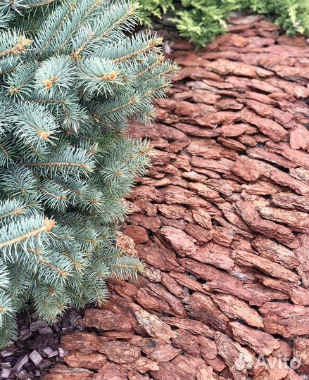 Кора лиственницы мульча и крупная фракция