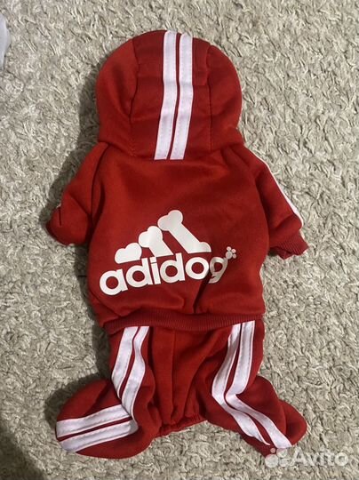 Одежда и аксесуары для собак