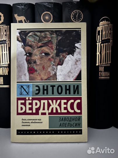 Книги эксклюзивная классика