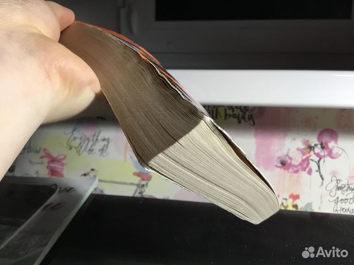 Книга Милые Кости