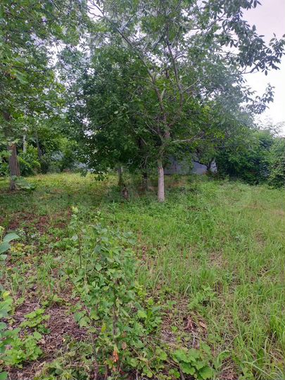 Участок 4,4 сот. (ИЖС)