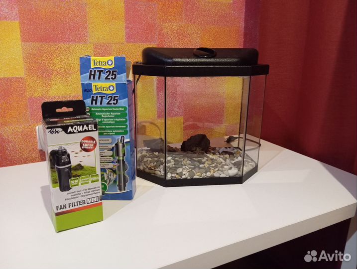 Аквариум с содержимым