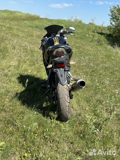 Raser skyway 250