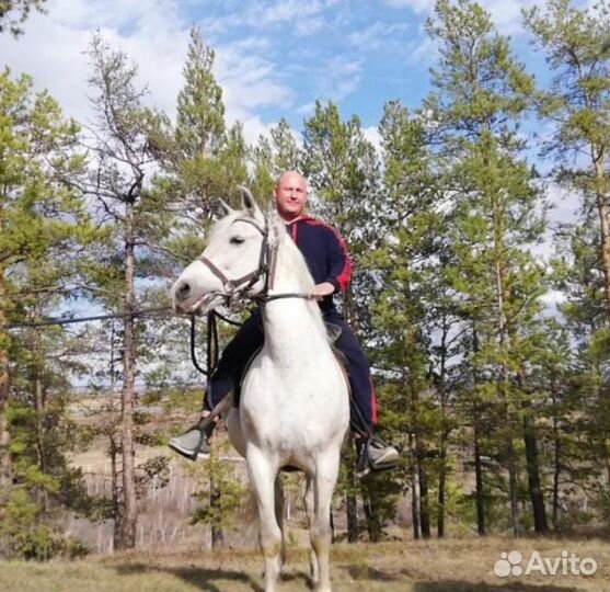 Свой человек в Якутске