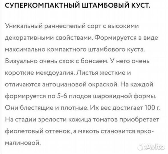 Рассада томата штамбовый