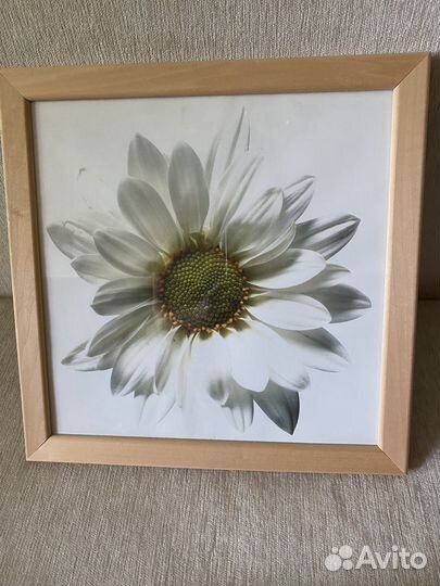 Картины IKEA 34/34см