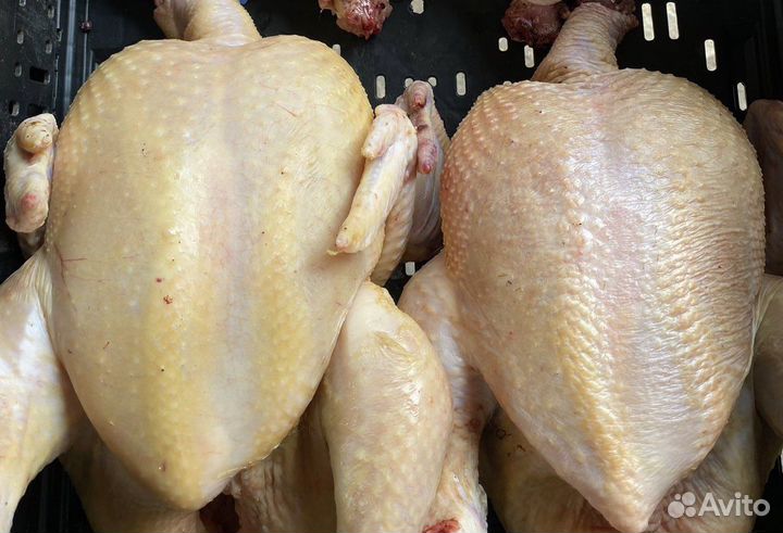 Мясо домашнего бройлера