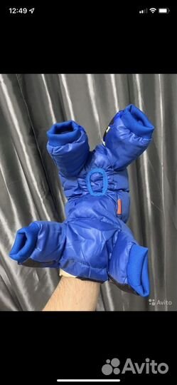 Куртка для маленькой собаки