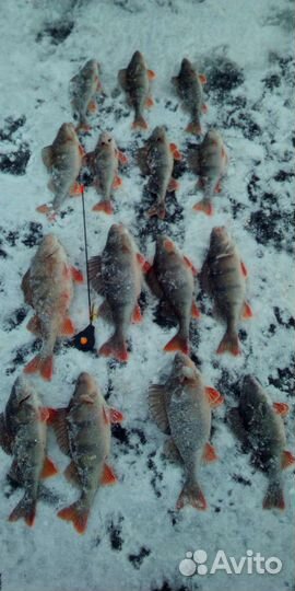 Балансиры под рапала