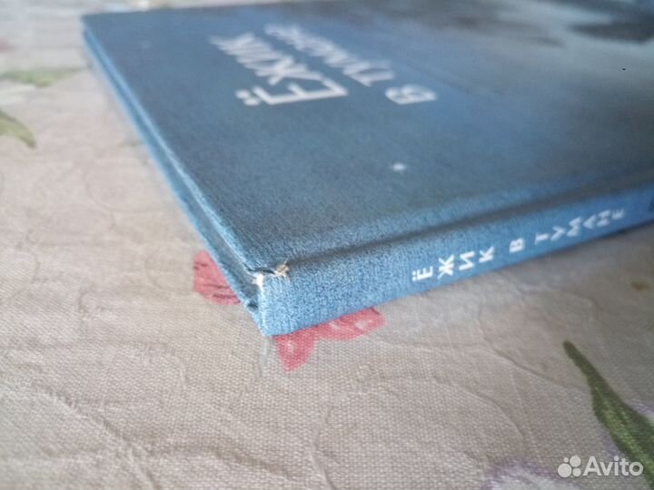 Ёжик в тумане книга