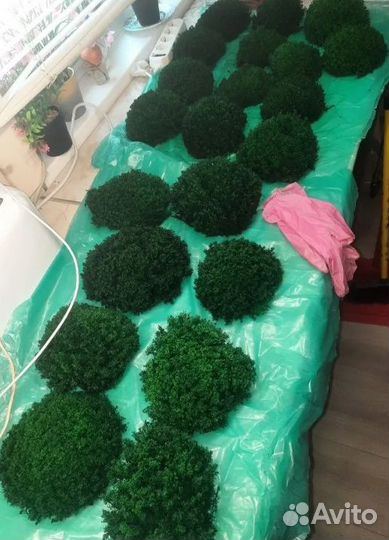 Вечно живой мох зеленый для декора кашпо спилы