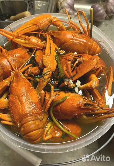 Саратовские раки юао