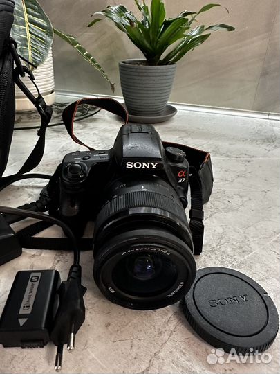 Фотоаппарат sony a37