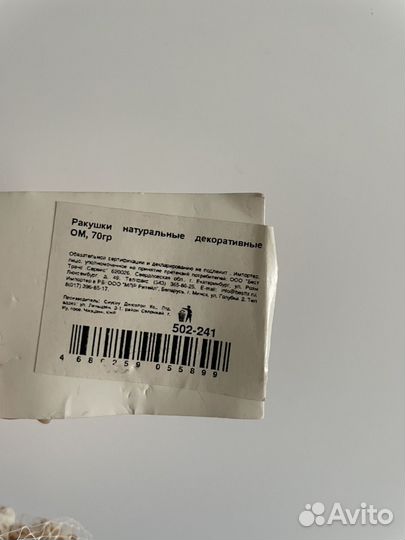 Морские ракушки