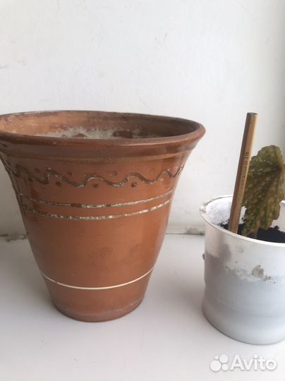 Кашпо Горшки для цветов