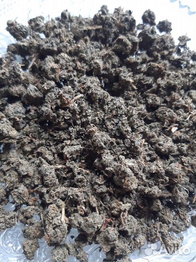 Ферментированный чай/травяные сборы