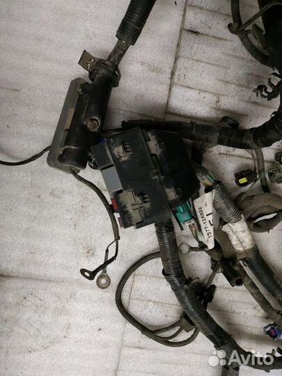 Проводка моторная Ford Mondeo 3 (2000-2007)