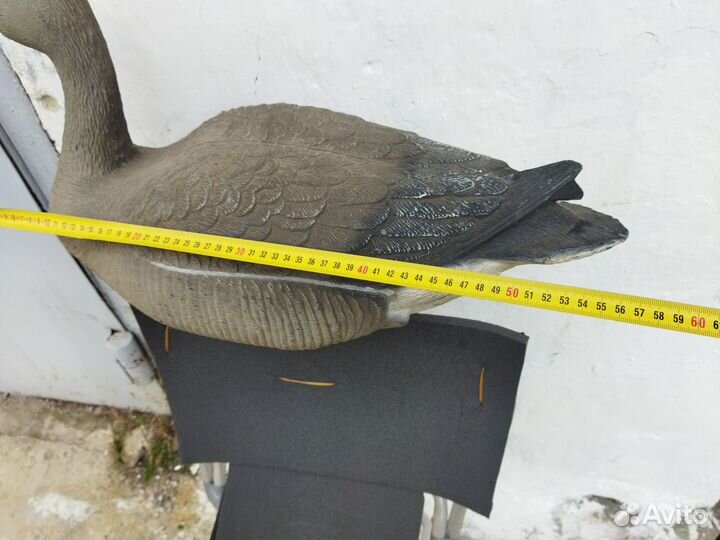 Чучело гуся(Италия)