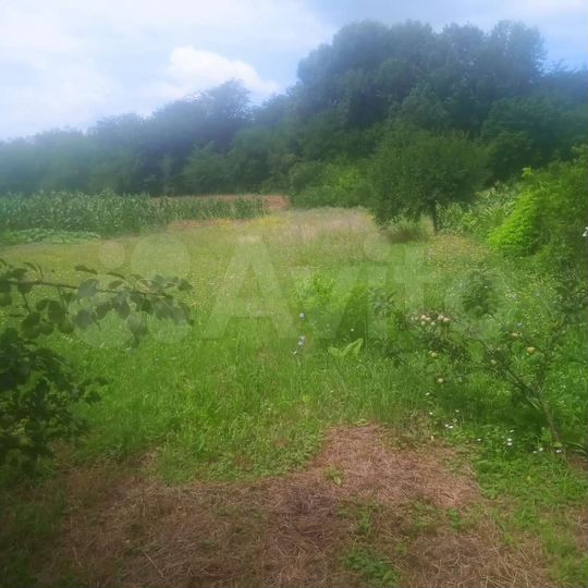 Дом 31,2 м² на участке 24 сот.