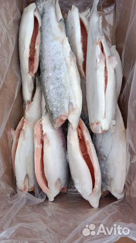 Рыба свежемороженая