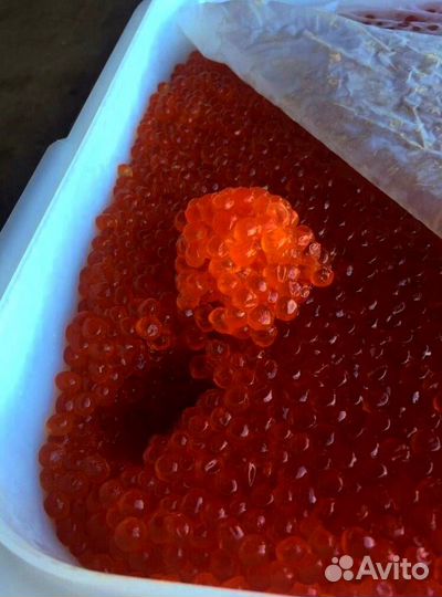 Красная икра горбуши