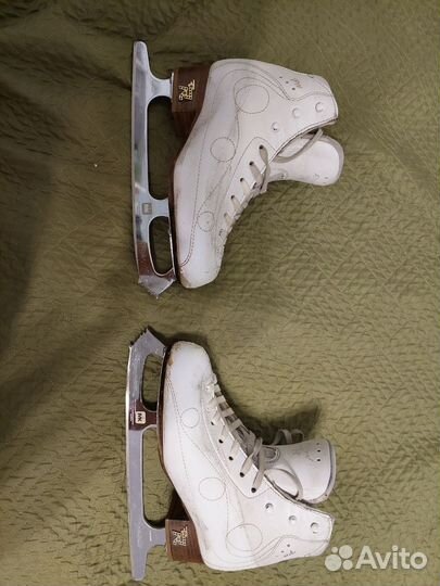 Коньки risport royal pro 220