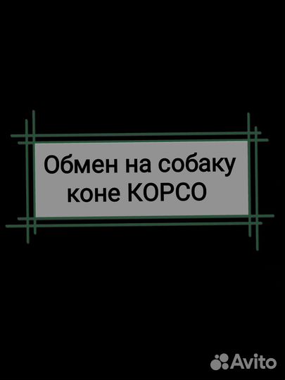 Часы alfajr