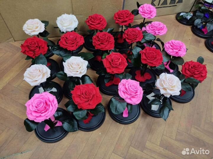 Роза в колбе