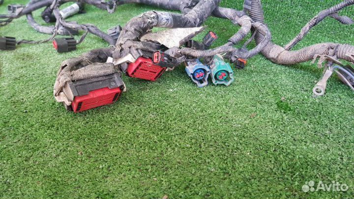 Проводка двс Ford Focus DA aoda 2007