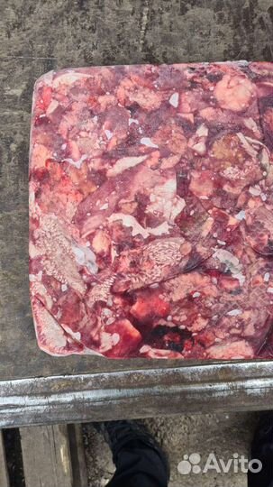 Головное мясо