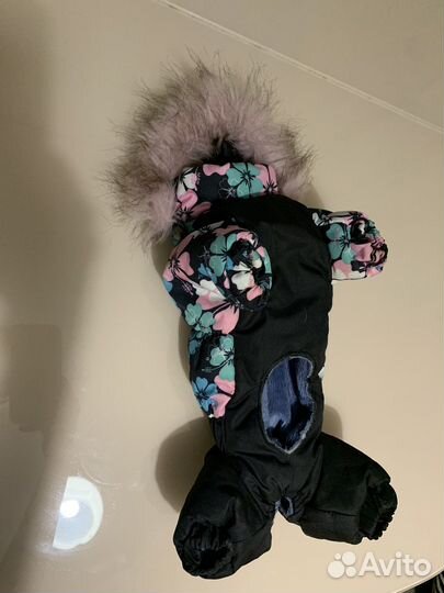 Комбинезон демисезонный для собак мелких пород