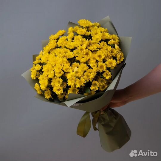 Хризантема-ромашка кустовая сантини