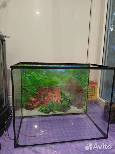 Аквариум