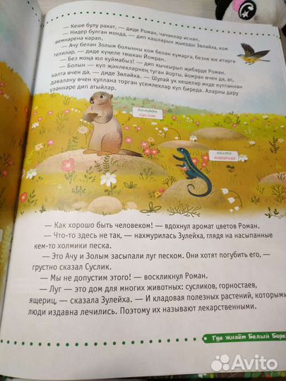 Татарско-русская книга