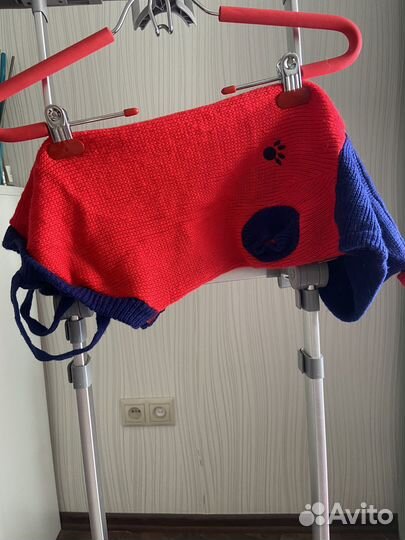 Одежда на таксу мальчика