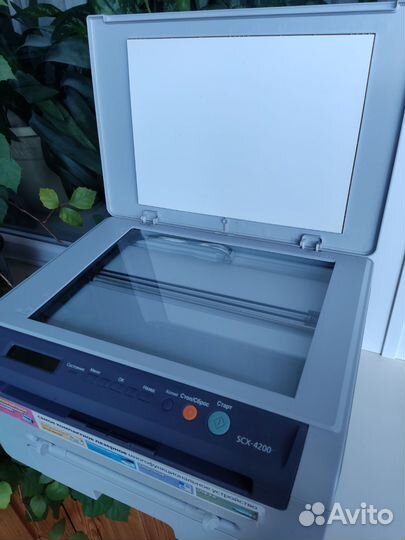 Мфу лазерный samsung