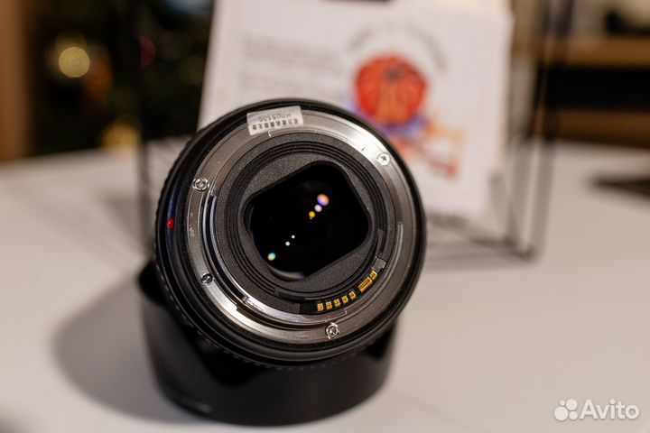 Canon EF 24 105mm f 4L IS II USM