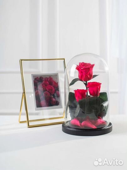 Роза в колбе