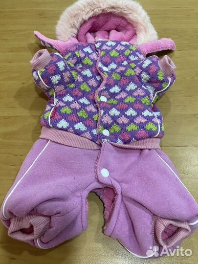 Зимний комбинезон для маленькой собаки