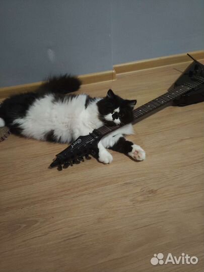 Обучение с нуля